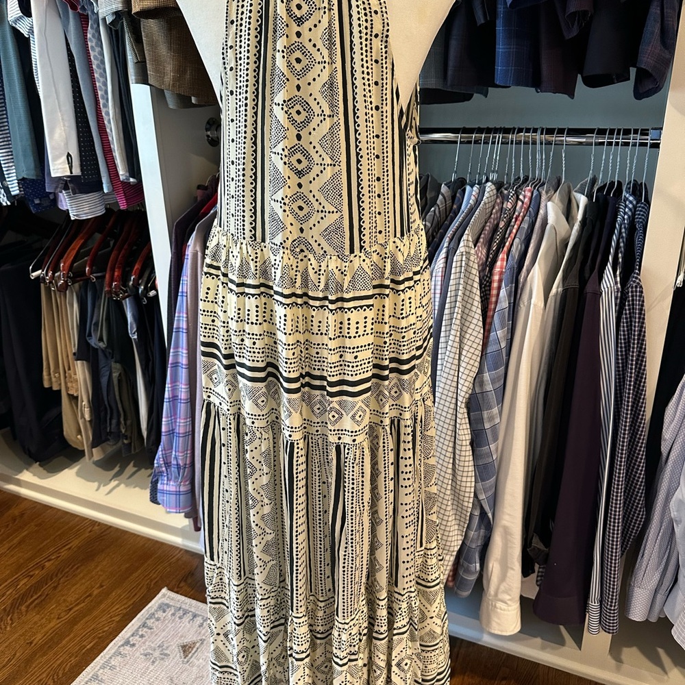 Omika Paolo Maxi Dress - Picture 3 of 5